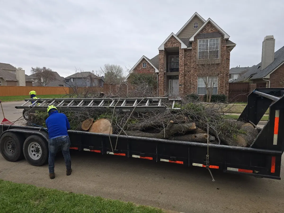 Expert Tree Fertilization with proper safety equipment in Litchville